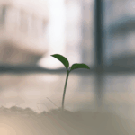 Heal. Learn. Grow. Love.: ako uzavrieť rok cez svoje talenty
